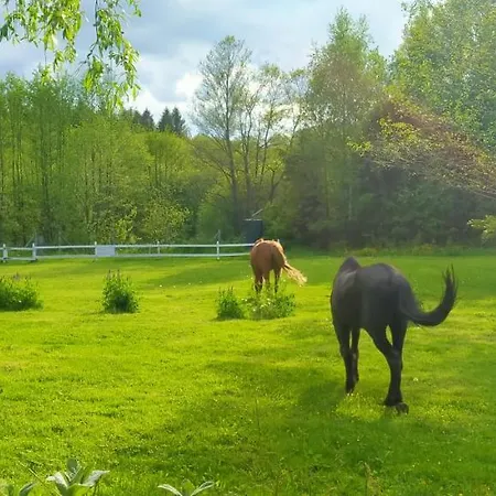 Apartamento Na Wsi Horses&relax