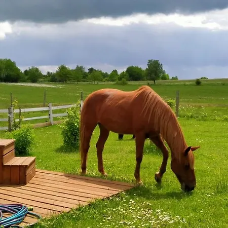 Apartamento Na Wsi Horses&relax