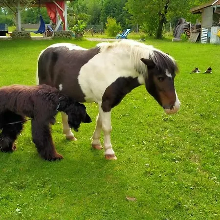 Na Wsi Horses&relax Mlynary