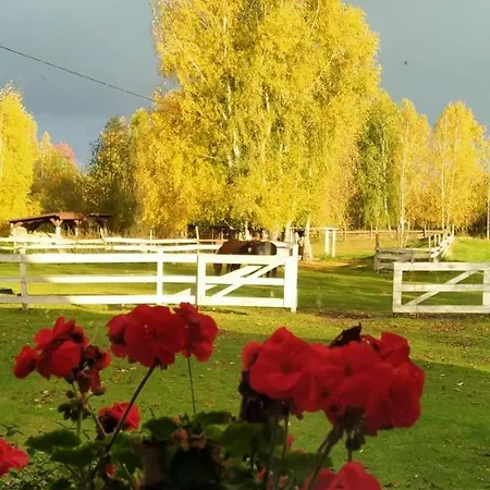 Na Wsi Horses&relax * Mlynary
