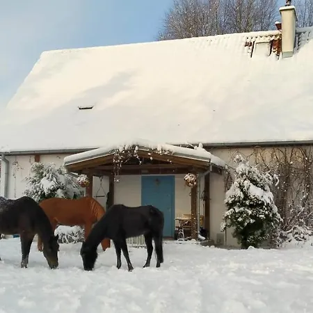 Apartamento Na Wsi Horses&relax