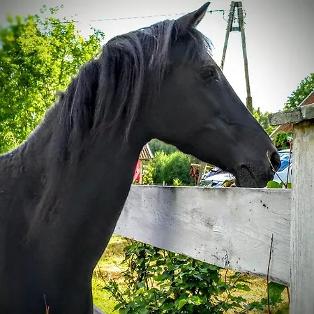 Na Wsi Horses&relax
