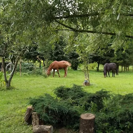 Na Wsi Horses&relax * Mlynary