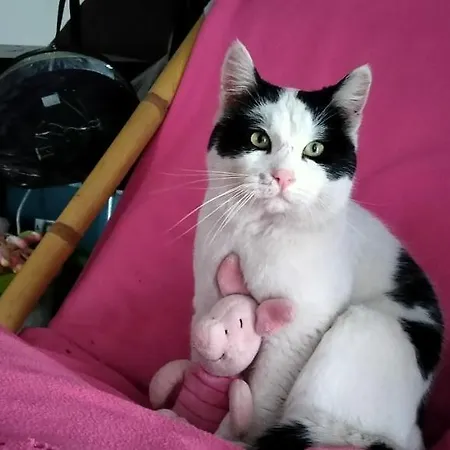 Na Wsi Horses&relax *