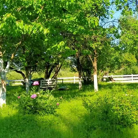 Na Wsi Horses&relax Apartamento *