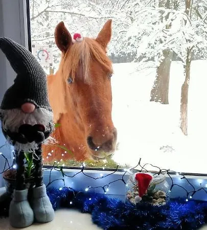 Na Wsi Horses&relax Apartamento *
