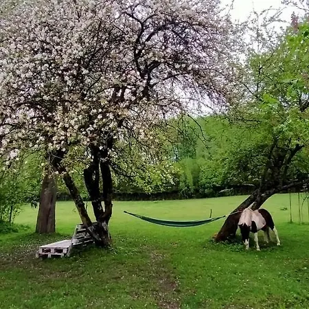 Na Wsi Horses&relax